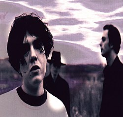 Whispers In The Shadow